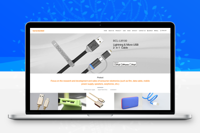 【X1004】电子科技风格丨外贸询盘站